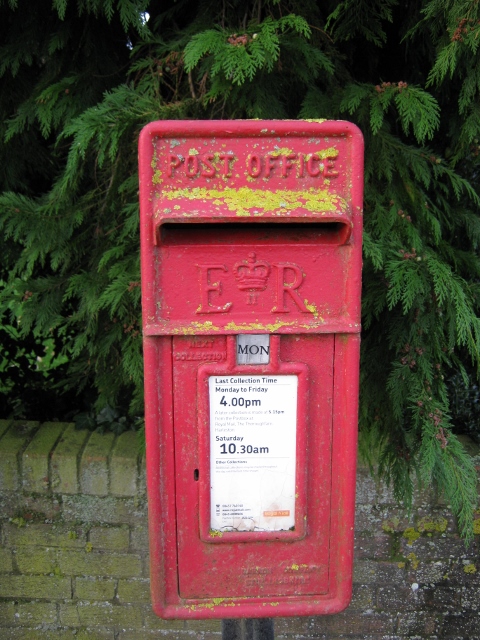 012Lichen covered post box (480x640)