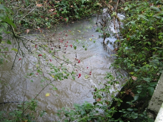 017Flowing water in ditch (640x480)