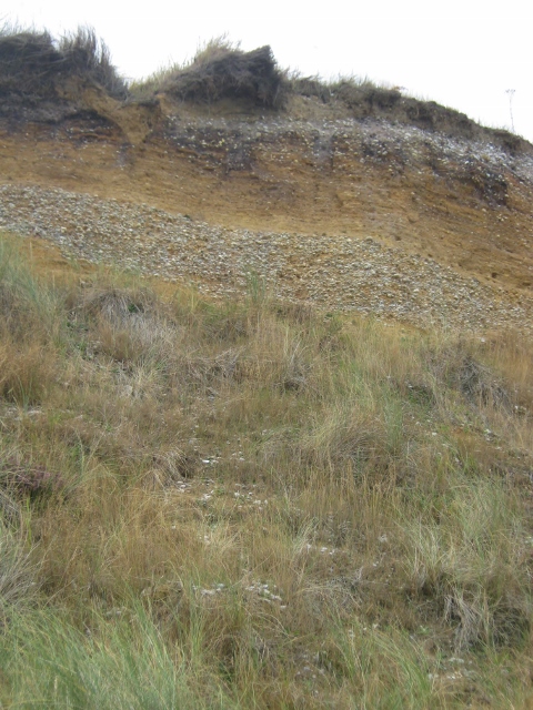 010Dunwich cliffs (480x640)