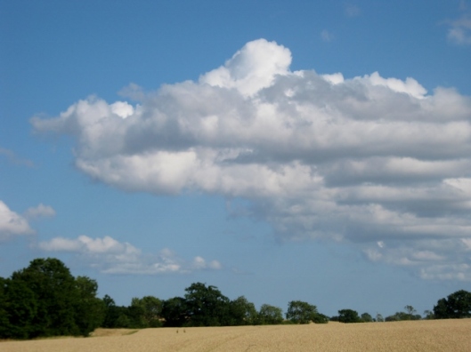 IMG_5303Clouds (640x480)