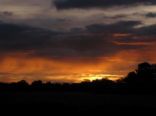 IMG_5323Rain at sunset (640x480)