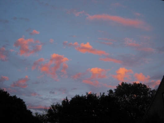 IMG_5335Pink clouds at sunset (640x480)
