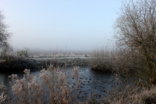 img_2826frost-and-fog